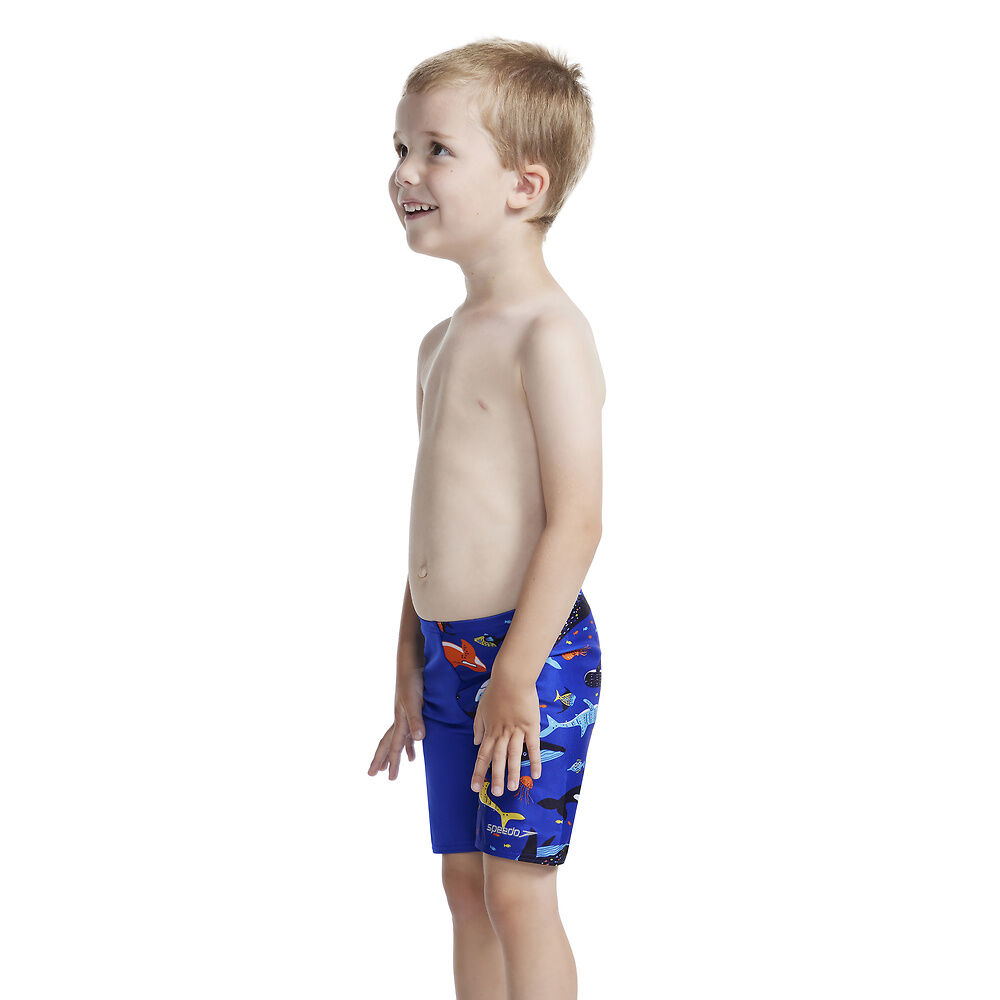 Speedo Toddler Boys  Under The Sea  Jammer