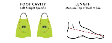 Speedo x DMC Elite Fin - White/Blue